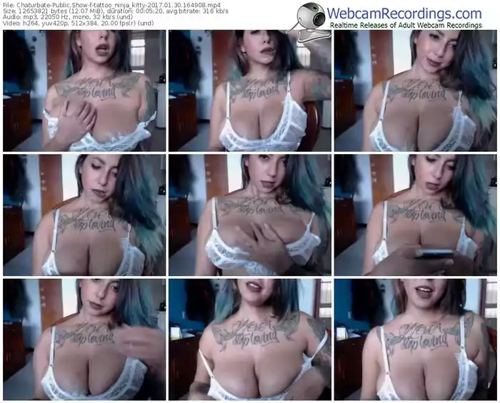 chaturbate-tattoo_ninja_kitty-webcam-show-01_30_2017-16_49_08