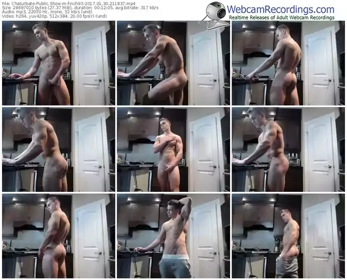 chaturbate-finch93-webcam-show-01_30_2017-21_18_37