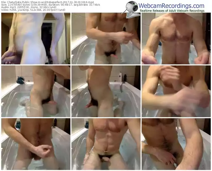 chaturbate-wishtobeperfect-webcam-show-01_30_2017-01_33_16