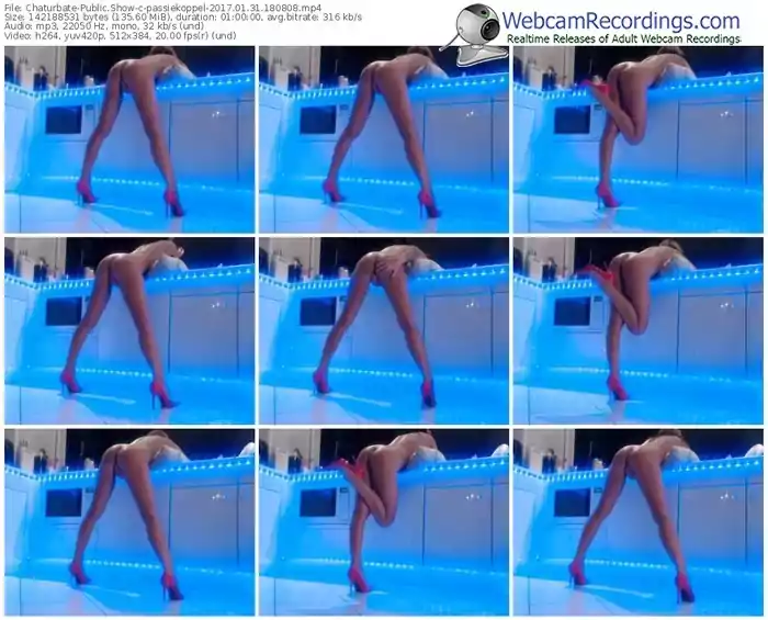 chaturbate-passiekoppel-webcam-show-01_31_2017-18_08_08