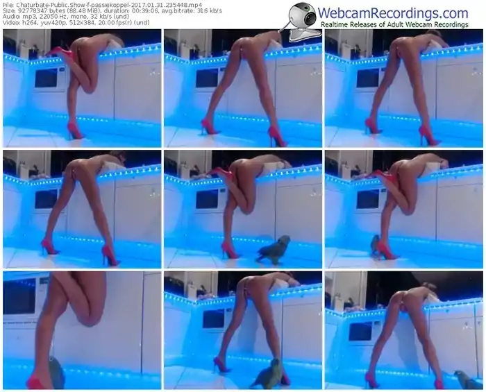 chaturbate-passiekoppel-webcam-show-01_31_2017-23_54_48