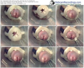 chaturbate-geeky_dick-webcam-show-01_31_2017-16_18_58