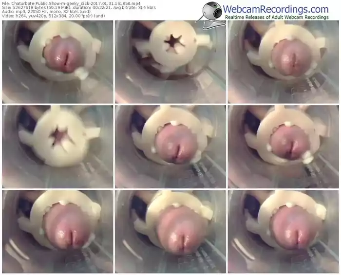 chaturbate-geeky_dick-webcam-show-01_31_2017-16_18_58