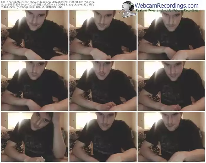 chaturbate-leakingpuddles108-webcam-show-01_31_2017-09_13_51