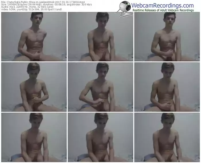 chaturbate-seekandmiik-webcam-show-01_31_2017-17_34_04