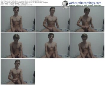 chaturbate-seekandmiik-webcam-show-01_31_2017-17_59_00