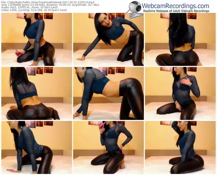 chaturbate-melissa90sweet-webcam-show-02_01_2017-22_25_14