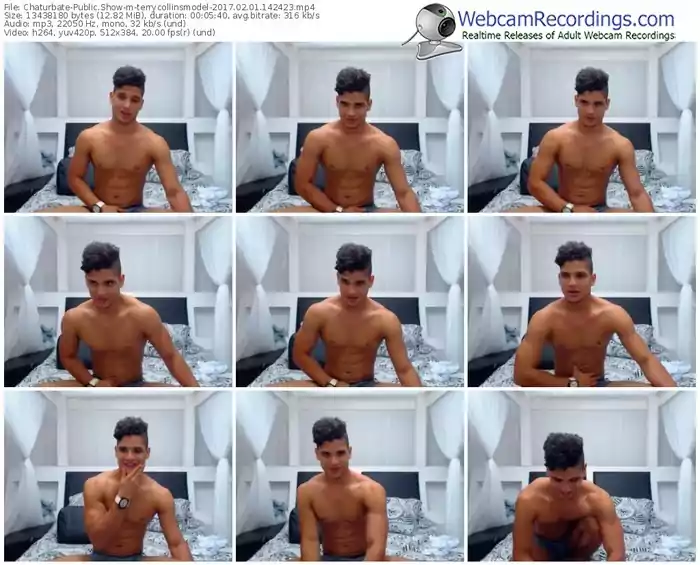 chaturbate-terrycollinsmodel-webcam-show-02_01_2017-14_24_23