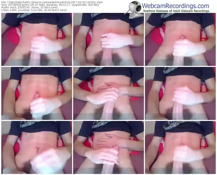 chaturbate-comewatchmydick18-webcam-show-02_03_2017-14_20_21