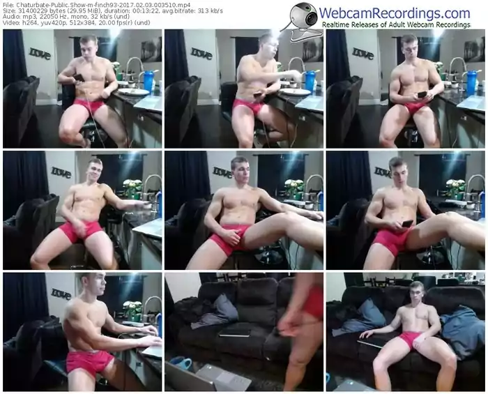 chaturbate-finch93-webcam-show-02_03_2017-00_35_10