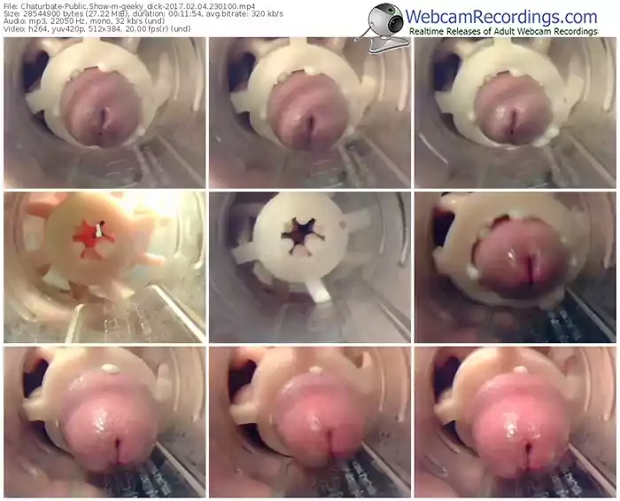 chaturbate-geeky_dick-webcam-show-02_04_2017-23_01_00