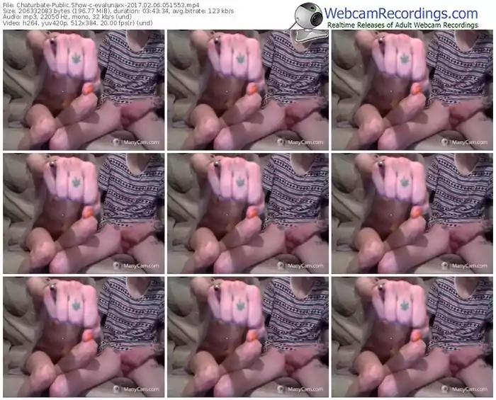 chaturbate-evalunaxx-webcam-show-02_06_2017-05_15_53