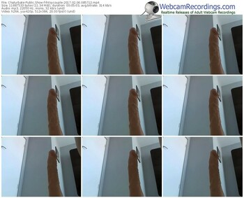 chaturbate-fntsycouple-webcam-show-02_06_2017-08_57_12