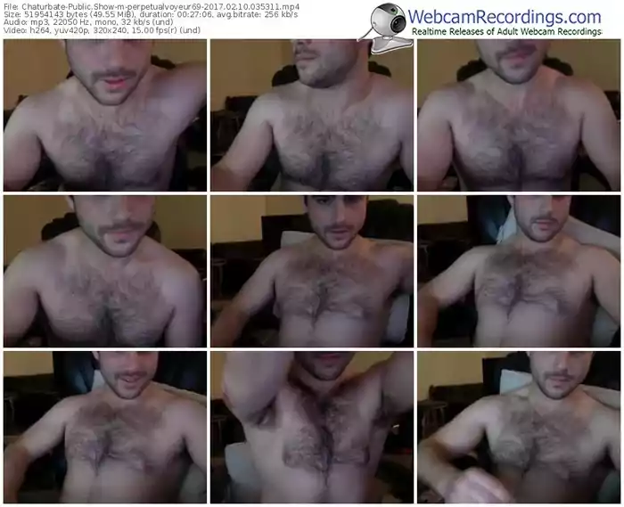 chaturbate-perpetualvoyeur69-webcam-show-02_10_2017-03_53_11