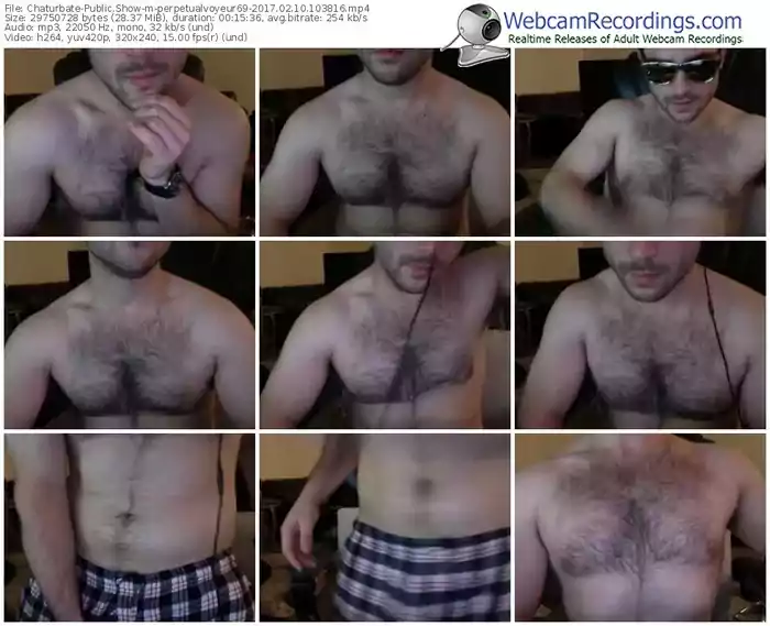 chaturbate-perpetualvoyeur69-webcam-show-02_10_2017-10_38_16