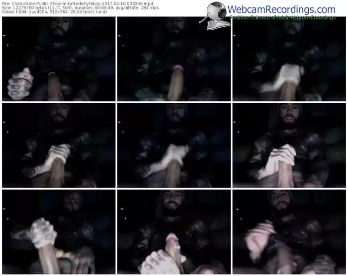 chaturbate-tattedwhyteboy-webcam-show-02_10_2017-00_33_06