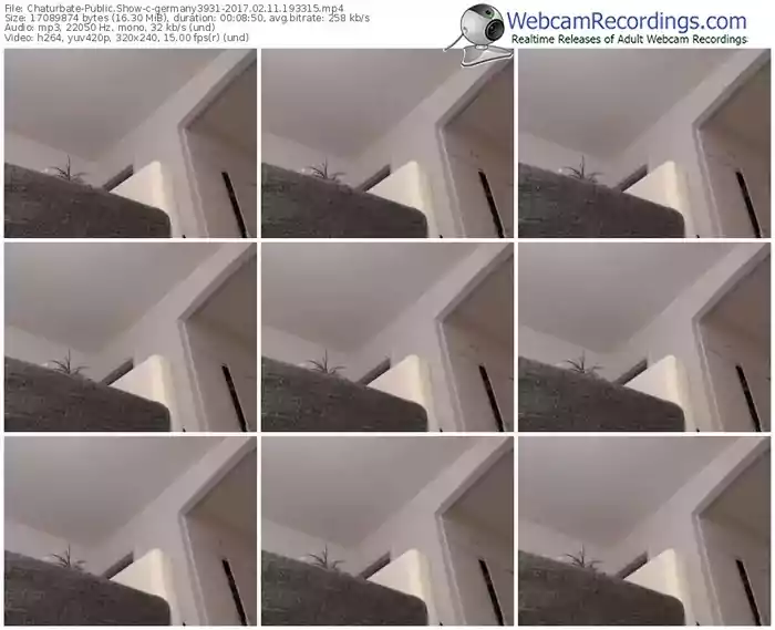 chaturbate-germany3931-webcam-show-02_11_2017-19_33_15