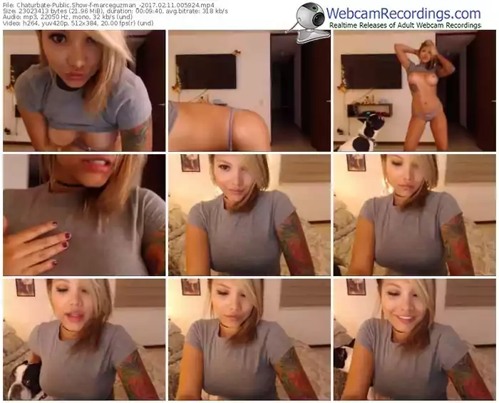 chaturbate-marceguzman_-webcam-show-02_11_2017-00_59_24