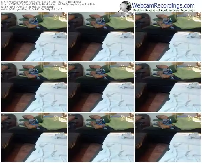 chaturbate-vudupussi-webcam-show-02_13_2017-04_08_54