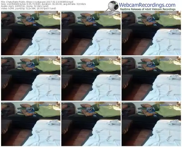 chaturbate-vudupussi-webcam-show-02_13_2017-06_08_54