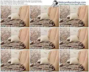 chaturbate-_happythreefriends_-webcam-show-02_14_2017-02_24_18