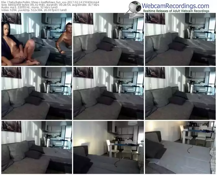 chaturbate-bedfellows_fun_xxx-webcam-show-02_14_2017-15_04_34