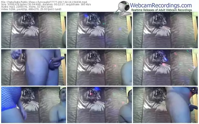 chaturbate-funcouple77777-webcam-show-02_14_2017-15_44_34