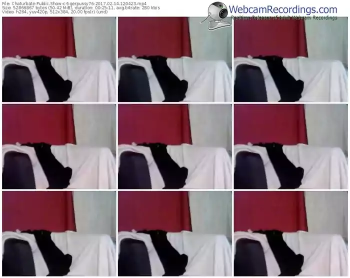 chaturbate-tigerpussy76-webcam-show-02_14_2017-12_04_23