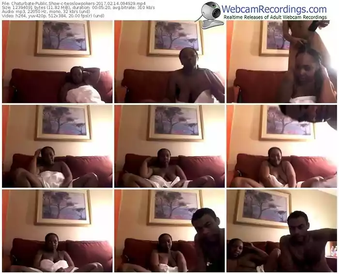 chaturbate-twoslowpokers-webcam-show-02_14_2017-09_49_29