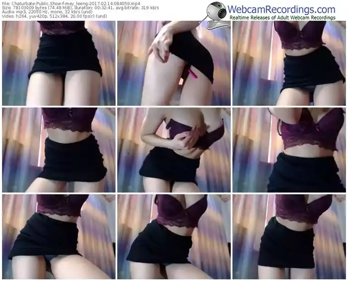 chaturbate-mey_leeng-webcam-show-02_14_2017-08_40_59