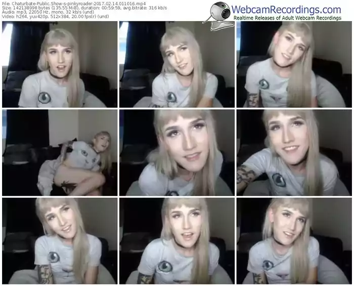 chaturbate-pinkyroader-webcam-show-02_14_2017-01_10_16