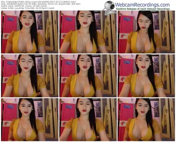 chaturbate-porcelendoll69-webcam-show-02_14_2017-18_46_01