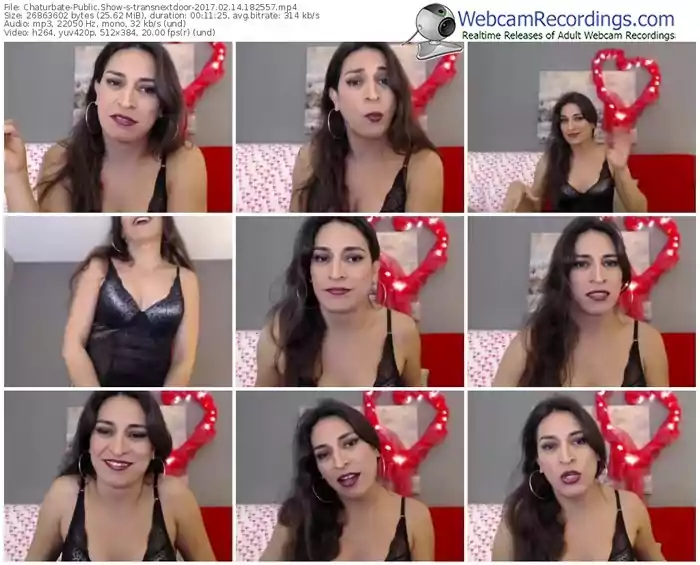 chaturbate-transnextdoor-webcam-show-02_14_2017-18_25_57