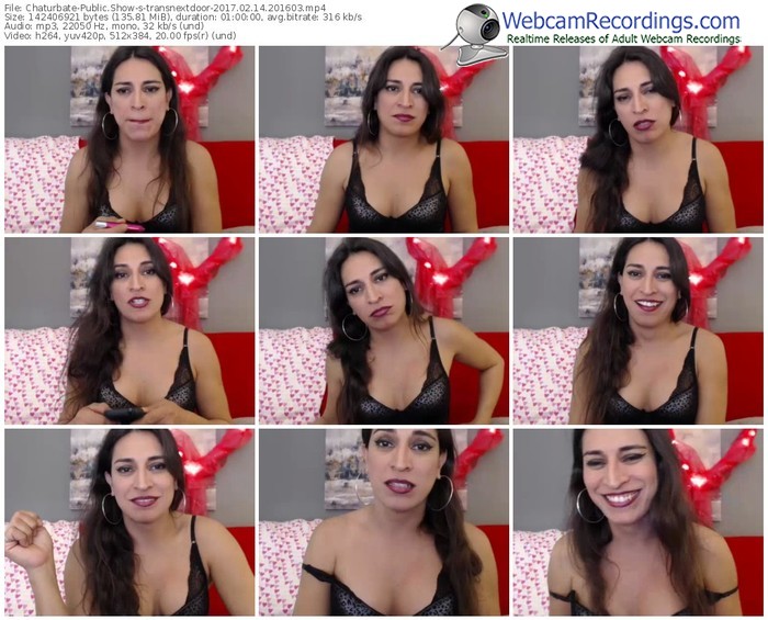 chaturbate-transnextdoor-webcam-show-02_14_2017-20_16_03