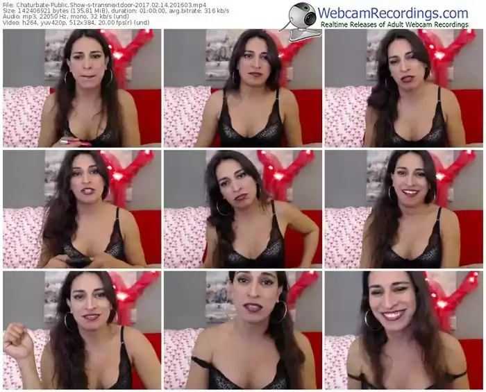chaturbate-transnextdoor-webcam-show-02_14_2017-20_16_03