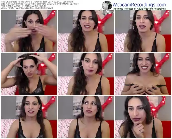 chaturbate-transnextdoor-webcam-show-02_14_2017-21_16_03