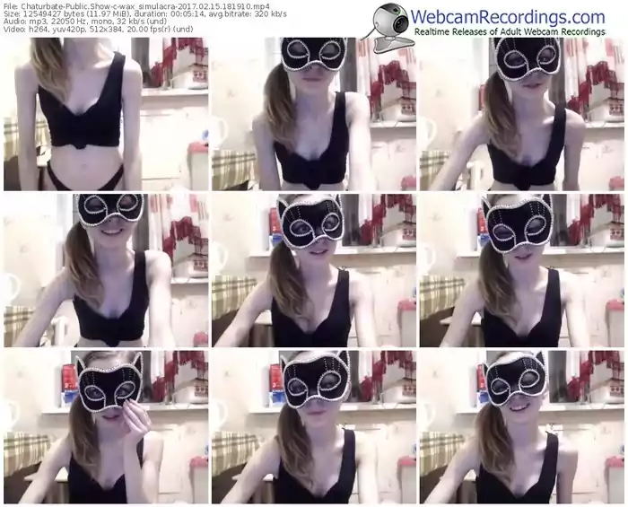 chaturbate-wax_simulacra-webcam-show-02_15_2017-18_19_10