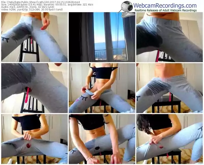 chaturbate-catty190-webcam-show-02_15_2017-10_26_28