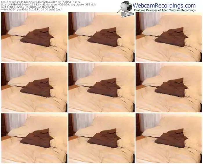 chaturbate-leeandloo-webcam-show-02_15_2017-01_51_16