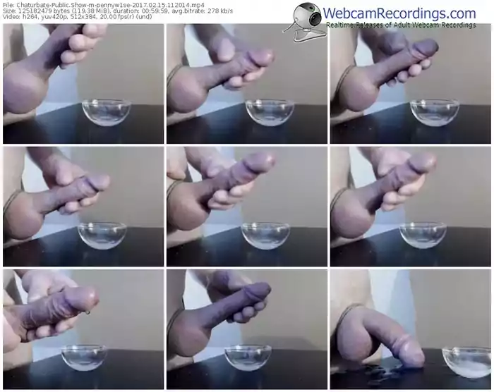 chaturbate-pennyw1se-webcam-show-02_15_2017-11_20_14