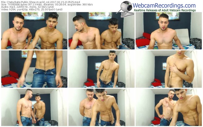 chaturbate-wild_col-webcam-show-02_15_2017-21_35_25