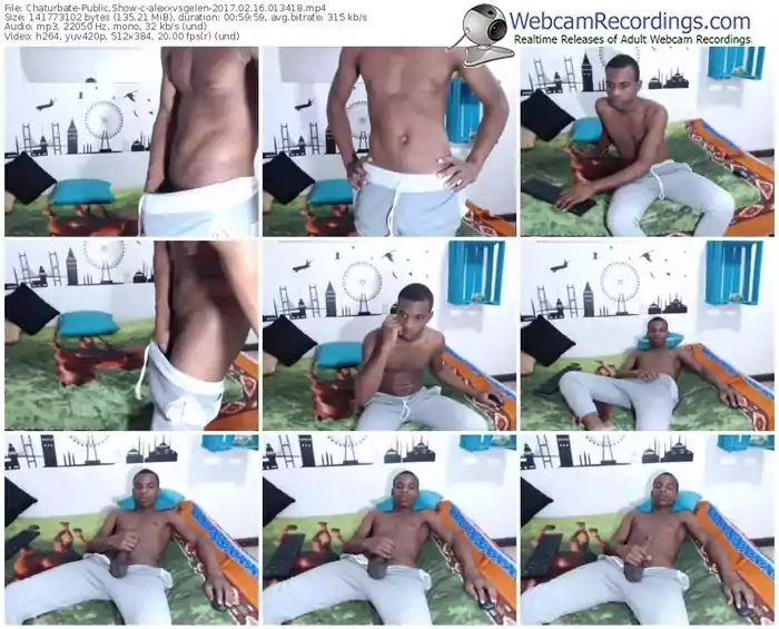 chaturbate-alexxvsgelen-webcam-show-02_16_2017-01_34_18