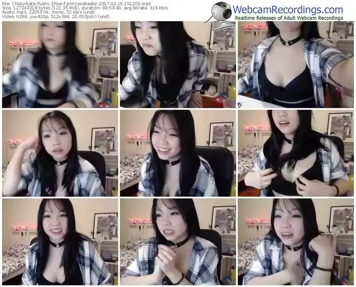 chaturbate-princessbeebz-webcam-show-02_16_2017-15_22_03