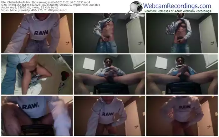 chaturbate-vegasaibot-webcam-show-02_16_2017-01_55_30