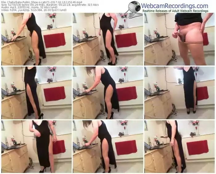 chaturbate-cats71-webcam-show-02_16_2017-11_51_46