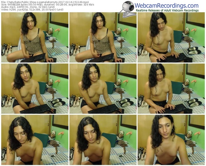 chaturbate-pamelahornyts-webcam-show-02_16_2017-15_11_49