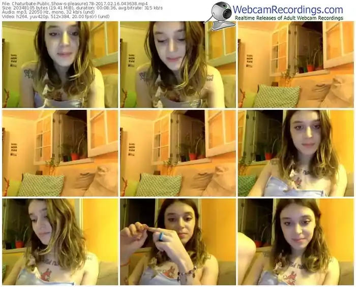 chaturbate-pleasure178-webcam-show-02_16_2017-04_36_38