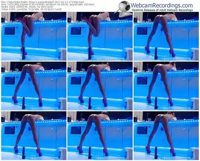 chaturbate-passiekoppel-webcam-show-02_17_2017-17_19_58