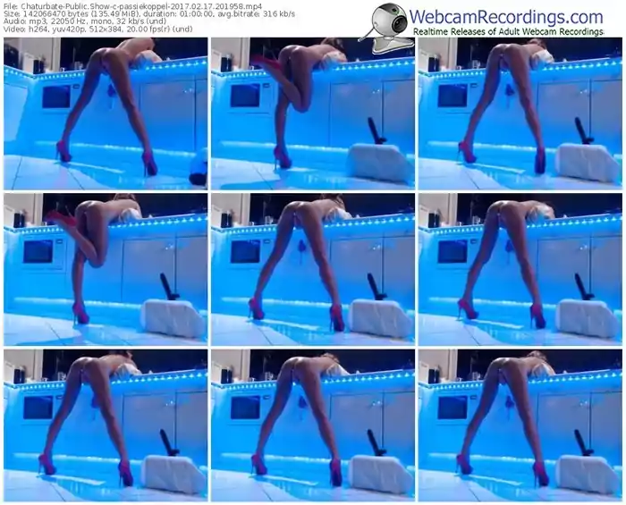 chaturbate-passiekoppel-webcam-show-02_17_2017-20_19_58