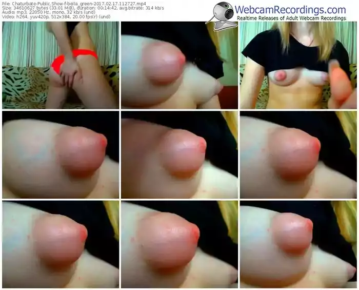 chaturbate-bella_green-webcam-show-02_17_2017-11_27_27